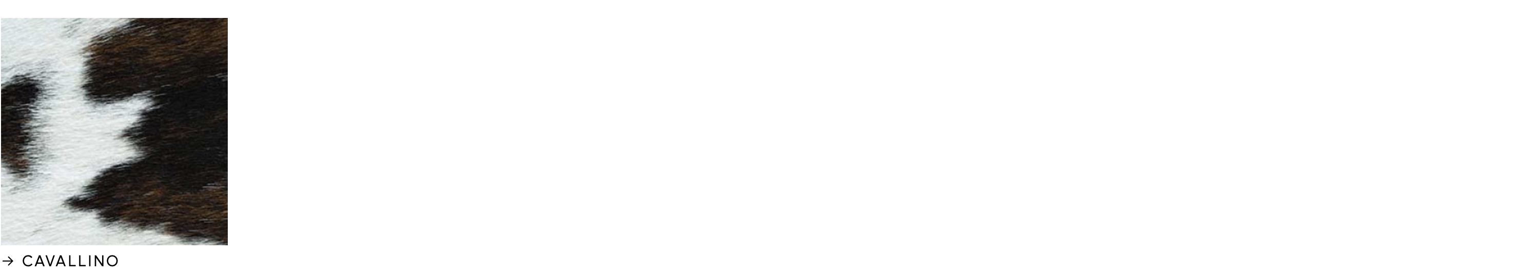 Capture d’écran 2024-10-12 à 18.34.59.png